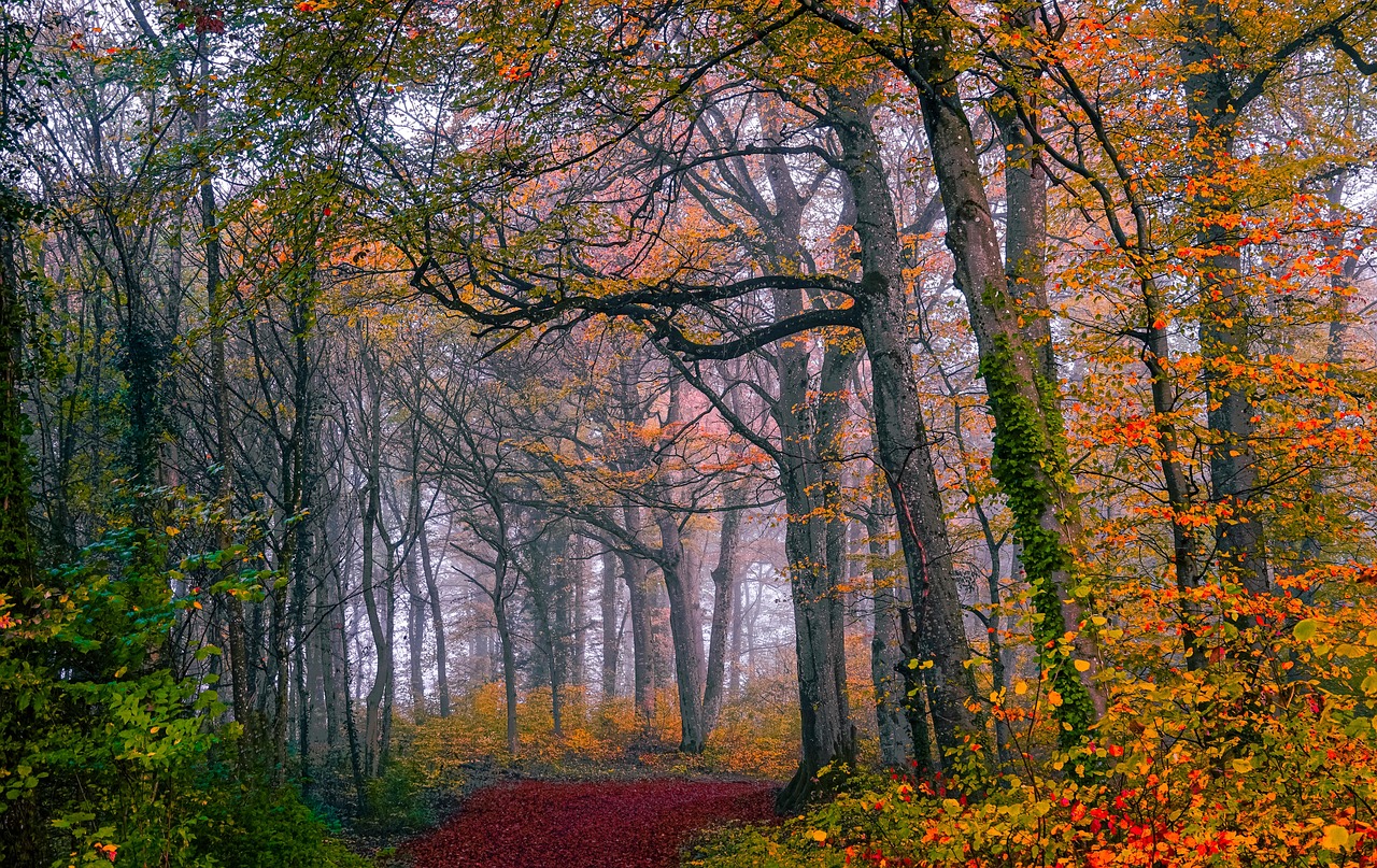 Luxembourg